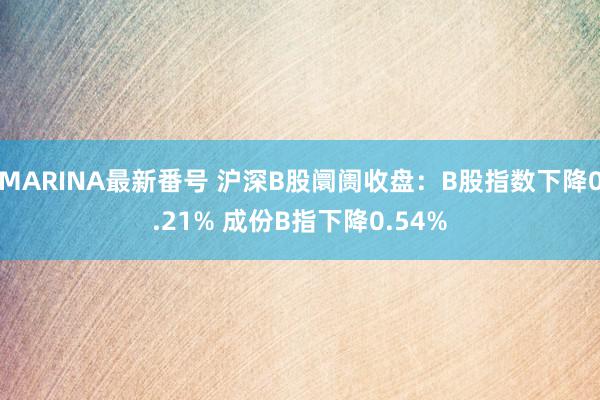 MARINA最新番号 沪深B股阛阓收盘：B股指数下降0.21% 成份B指下降0.54%