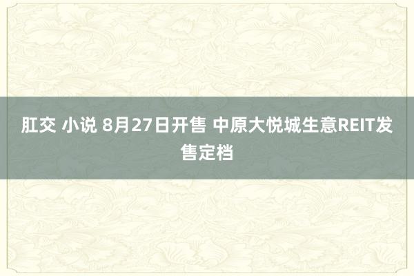 肛交 小说 8月27日开售 中原大悦城生意REIT发售定档