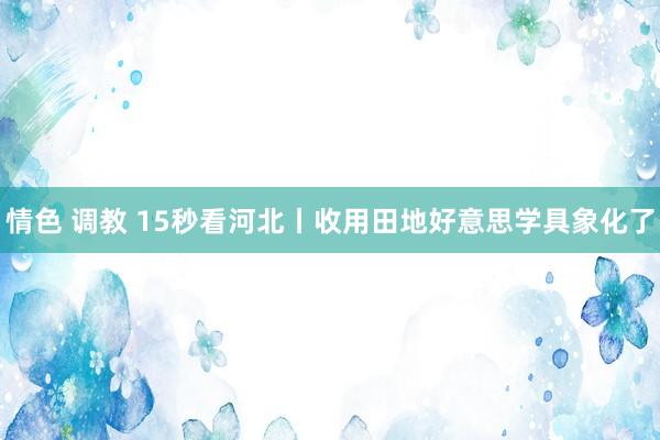 情色 调教 15秒看河北丨收用田地好意思学具象化了