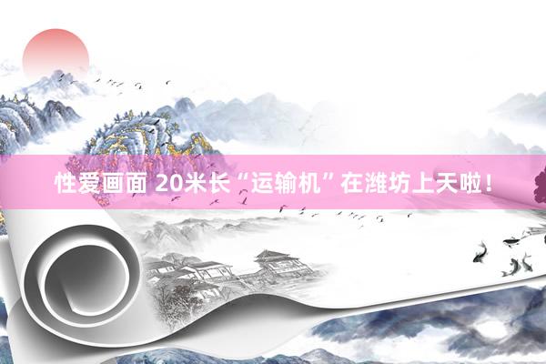 性爱画面 20米长“运输机”在潍坊上天啦！