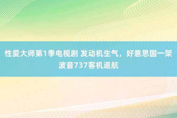 性爱大师第1季电视剧 发动机生气，好意思国一架波音737客机返航