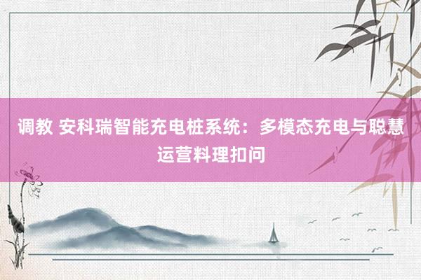 调教 安科瑞智能充电桩系统：多模态充电与聪慧运营料理扣问