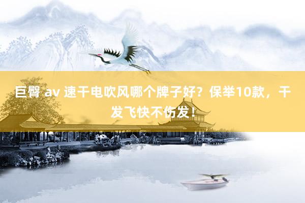 巨臀 av 速干电吹风哪个牌子好？保举10款，干发飞快不伤发！