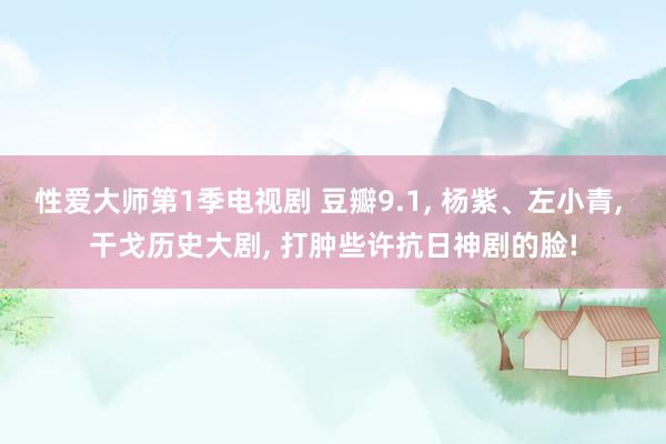 性爱大师第1季电视剧 豆瓣9.1, 杨紫、左小青, 干戈历史大剧, 打肿些许抗日神剧的脸!